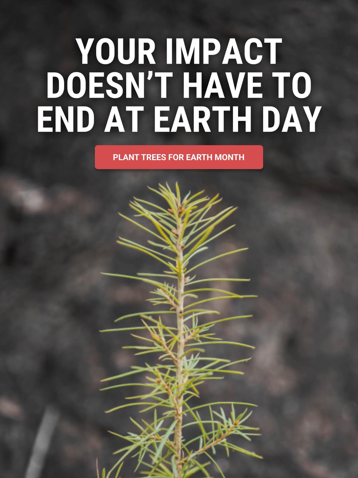 Your Impact Doesn't Have to End at Earth Day- Plant Trees For Earth Month