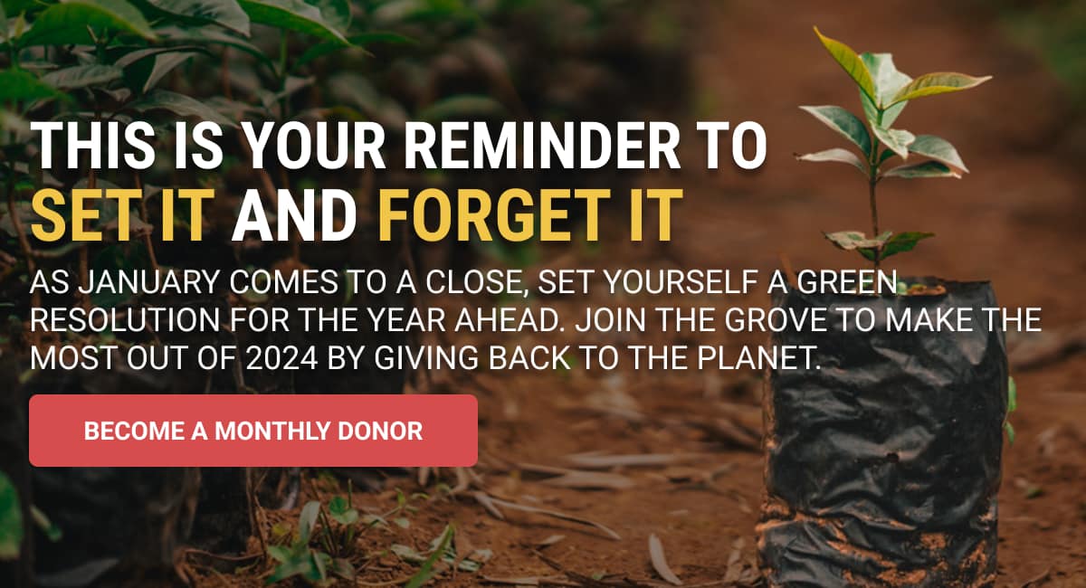 One Last Chance to Set It and Forget It- Become a Monthly Donor