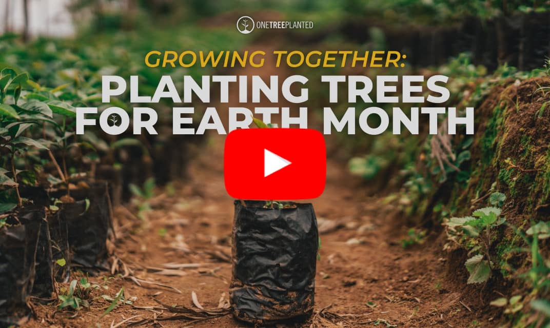 Growing Together: Planting Trees For Earth Month