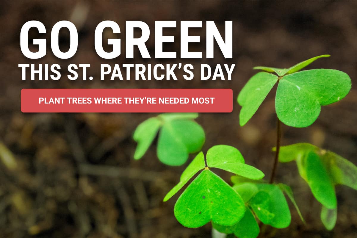 Go Green This St. Patrick's Day