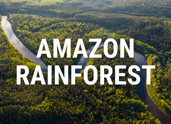 Amazon Rainforest