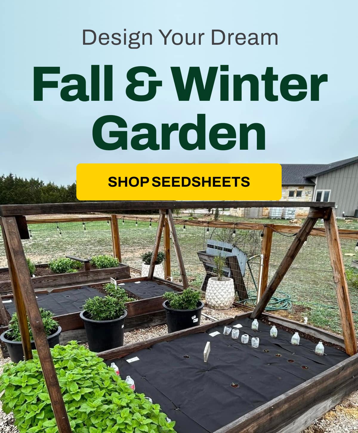 Fall & Winter Garden