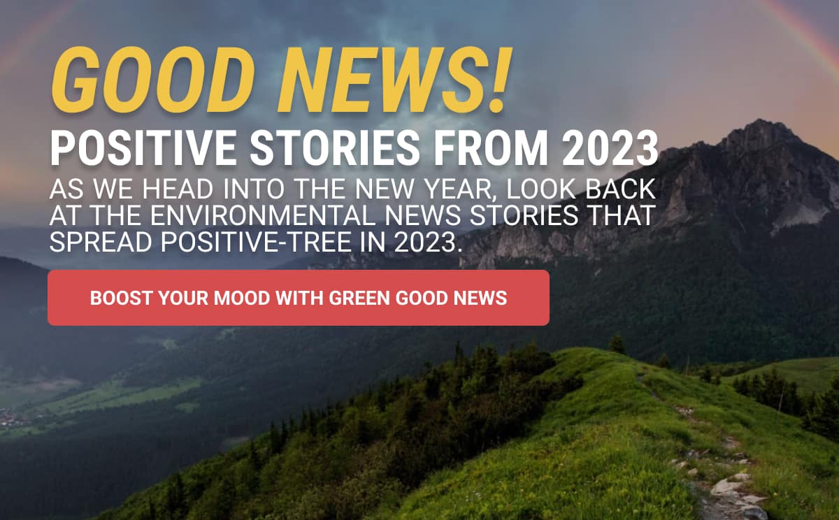 2023 Good News Stories