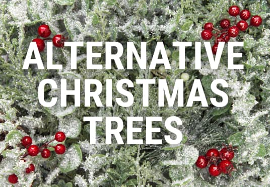 Alternative Christmas Trees