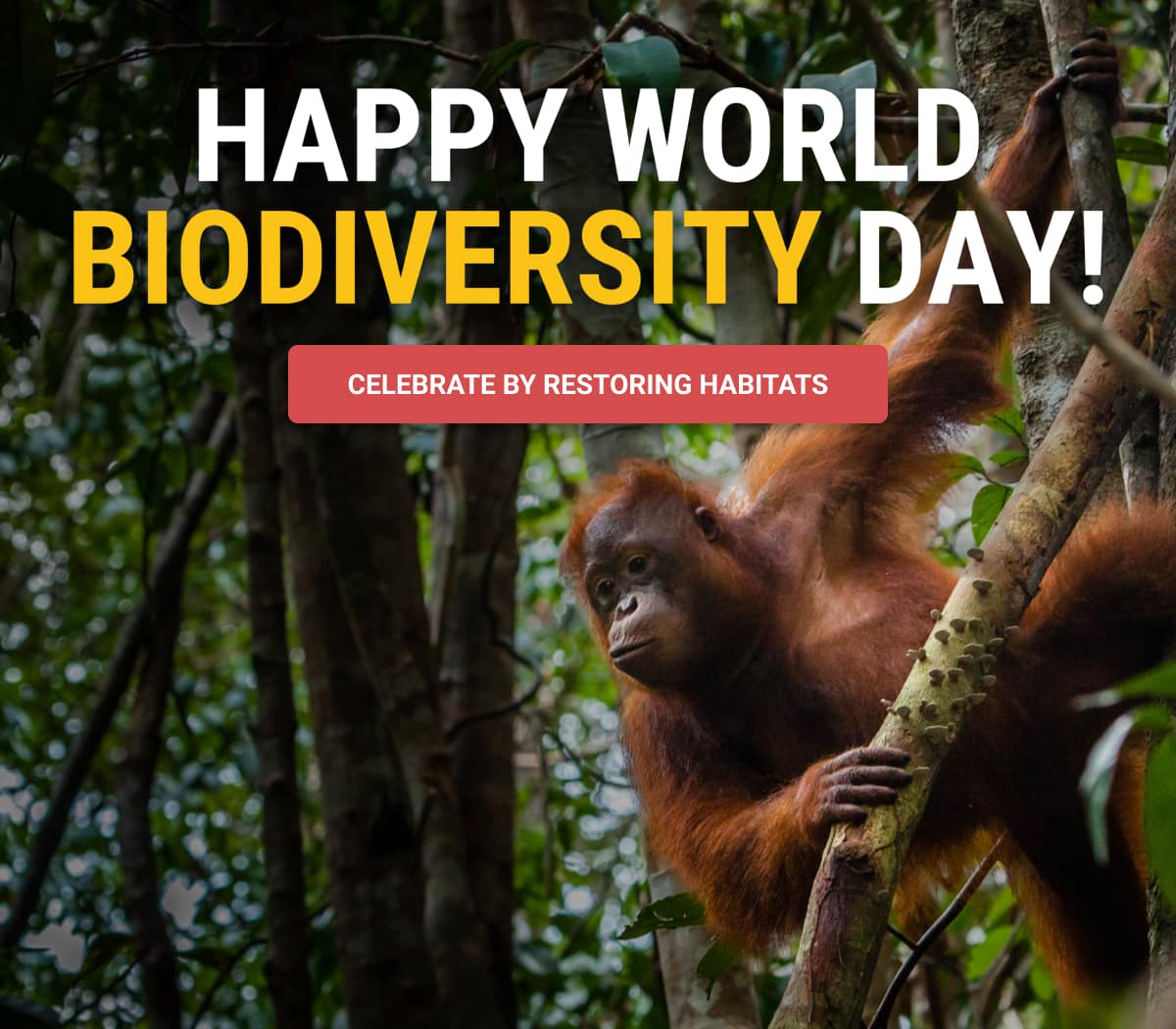 Happy World Biodiversity Day