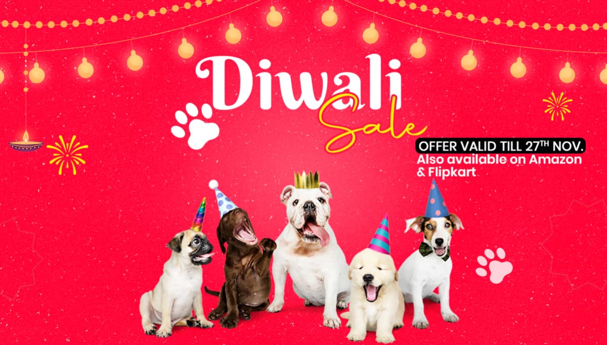 Dog for hotsell sale in flipkart