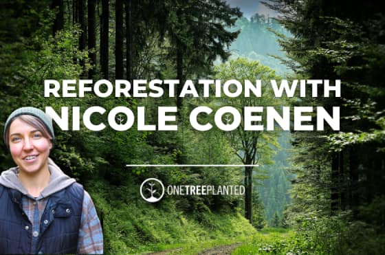 Reforestation with Nicole Coenen 