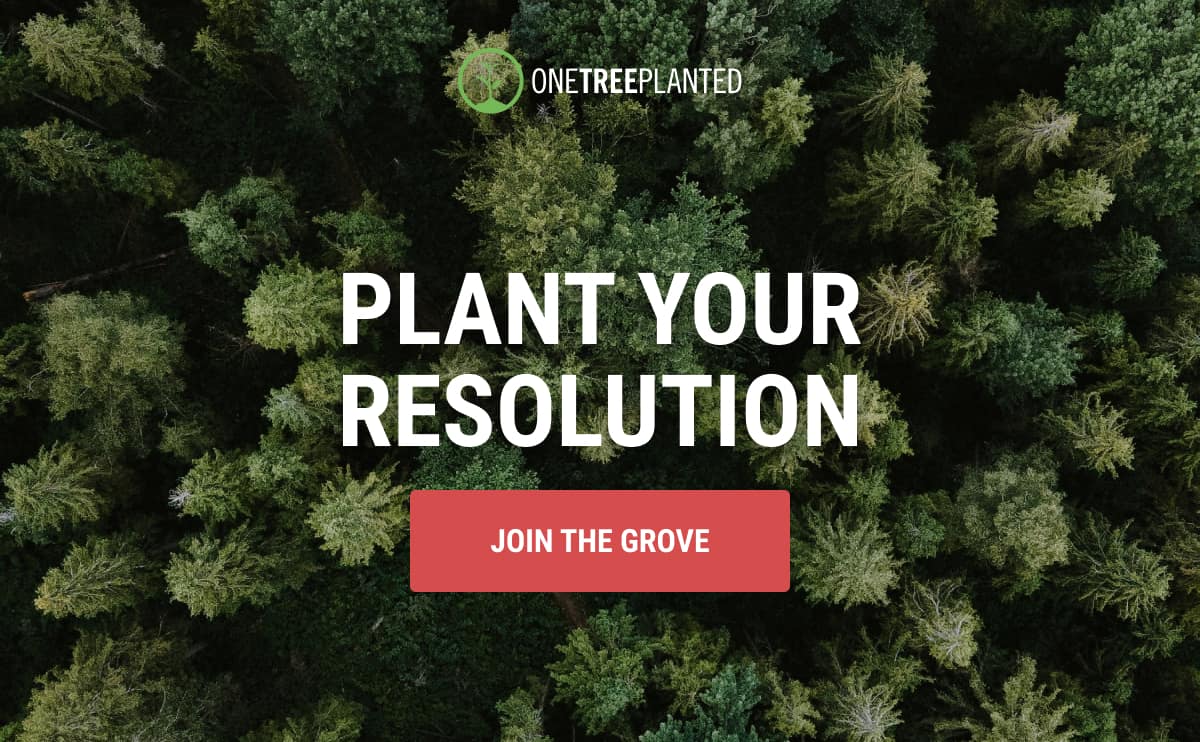 Plant Your Resolution