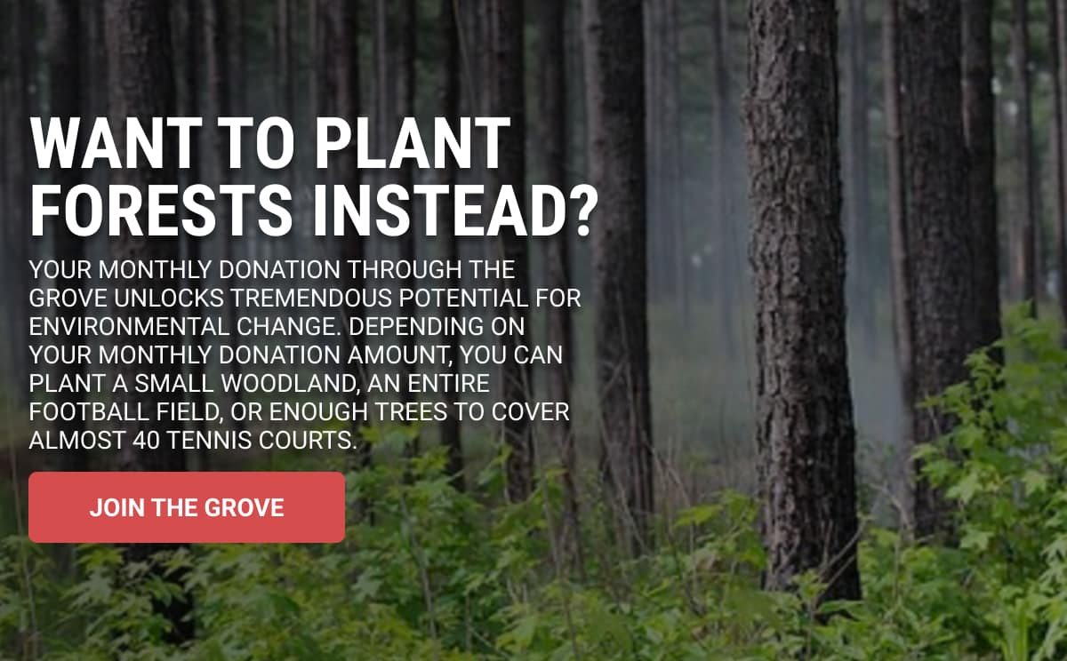 Want to Plant Forests Instead? Join the Grove