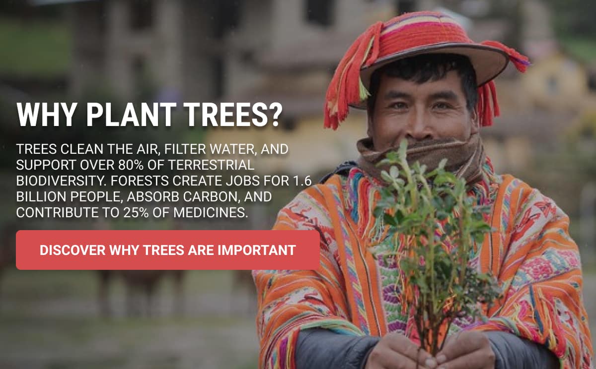 Why Plant Trees?