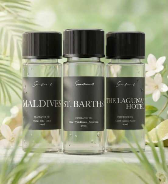 Destination Discovery Sets - Now Only $19.99