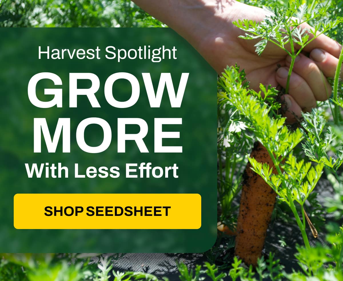 Harvest Spotlight: Grow More with Less Effort!