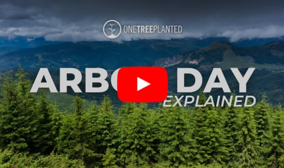 Watch: Arbor Day Explained