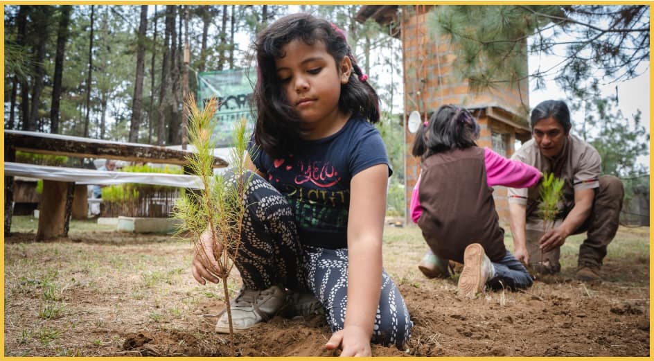 Girl Planting a Tree