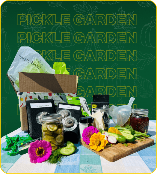 Pickle Garden