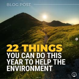 22 Things You Can Do This Year to Help The Environment