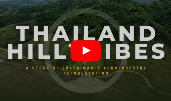 Watch: The Story of the Thailand Hill Tribes