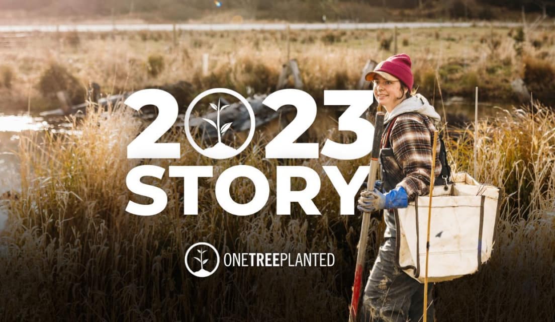 Our 2023 Global Reforestation Impact