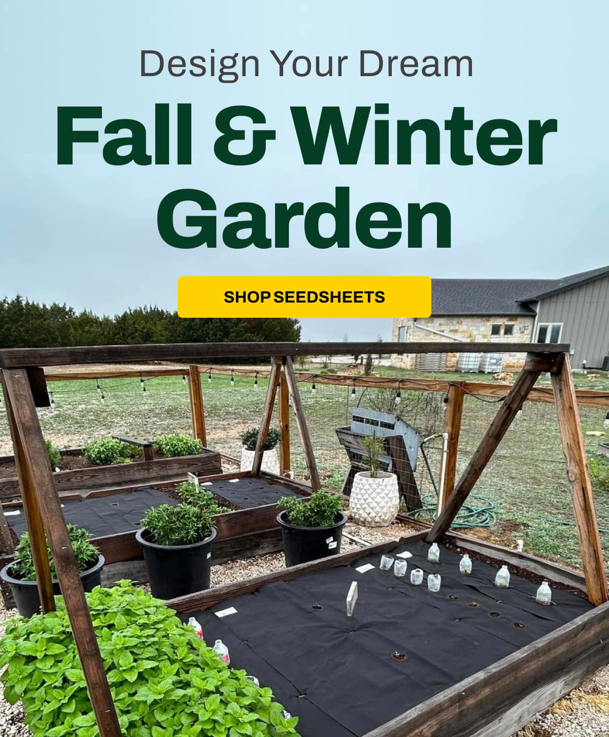 Fall & Winter Garden