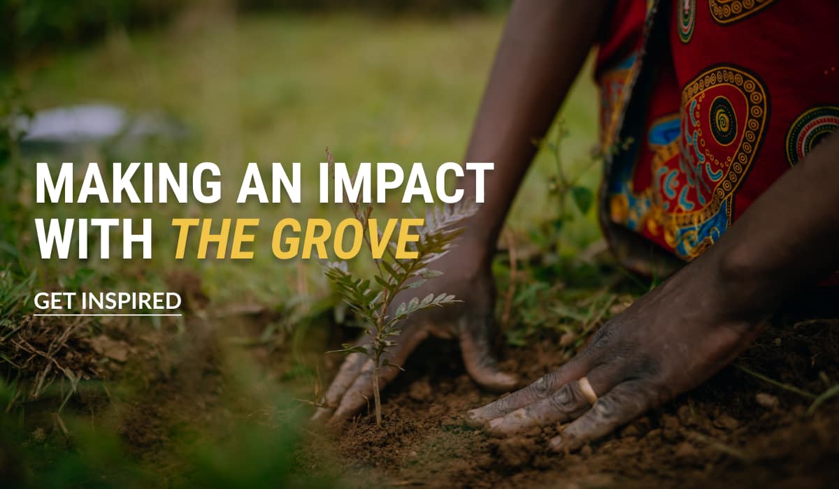 Making an Impact with the Grove