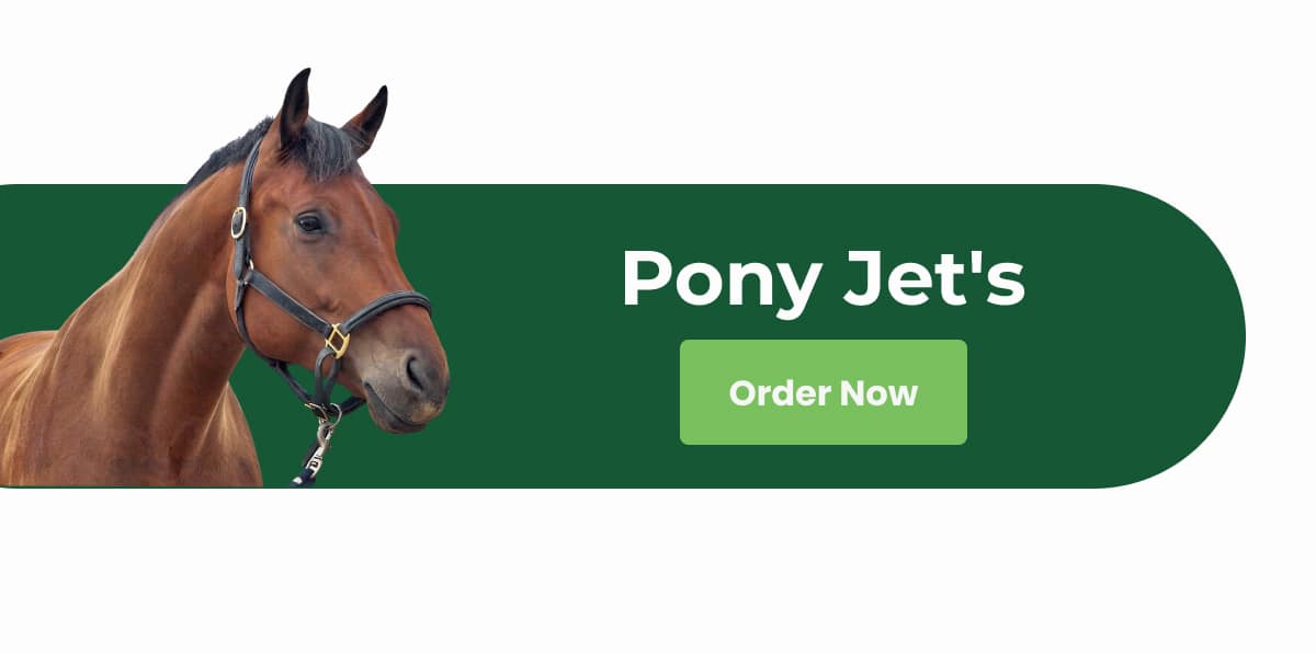 Say Goodbye to Bath Time Battles Embrace the Pony Jet! 😱🔝🐴 Pony Jet