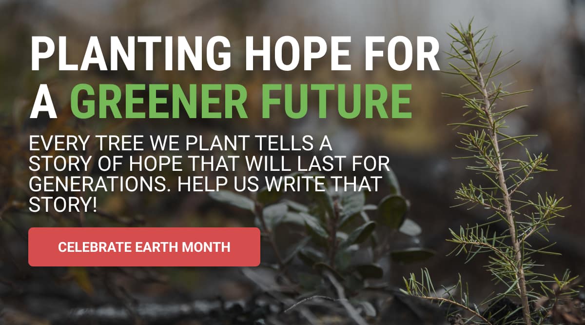 Planting Hope For A Greener Future