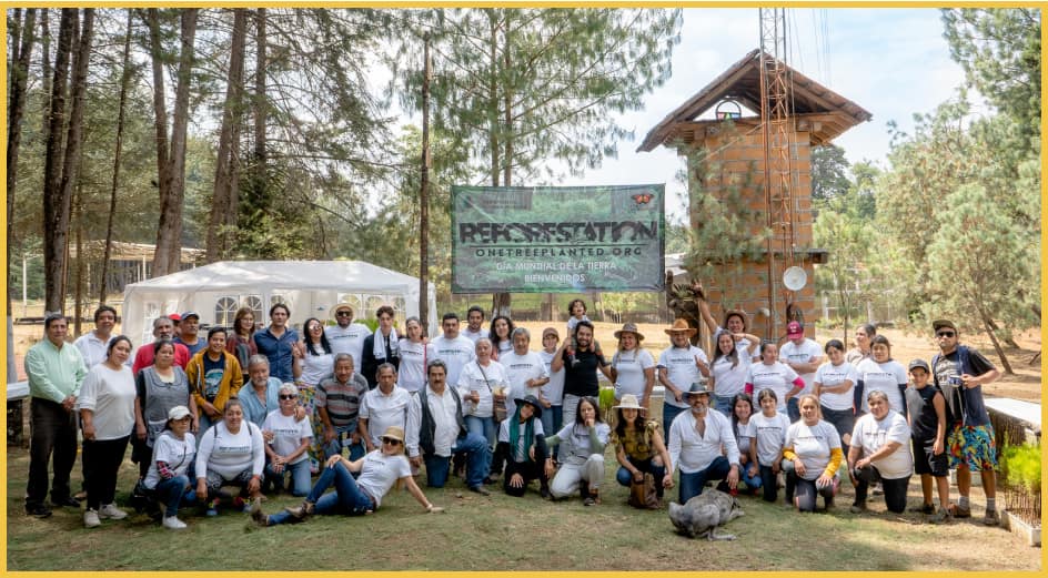 Planting Group in Mexico