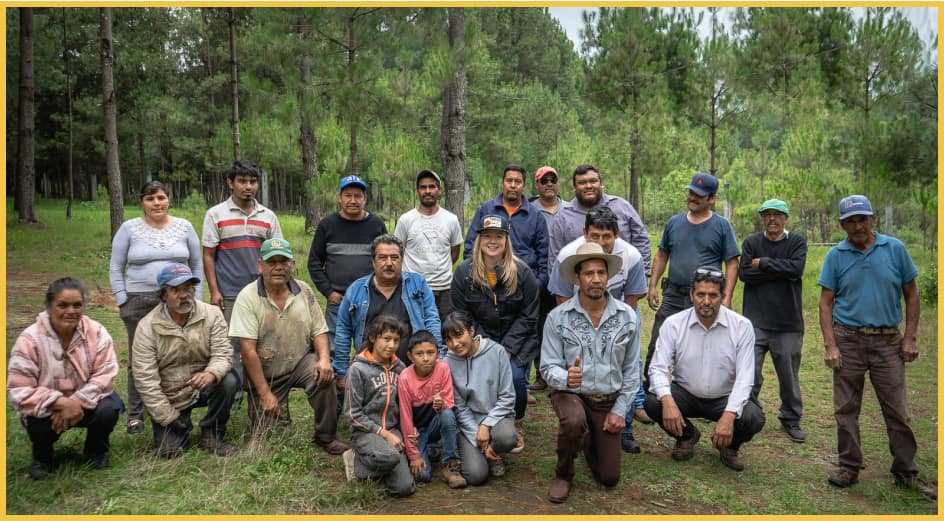 Tree Planter Group in Forest