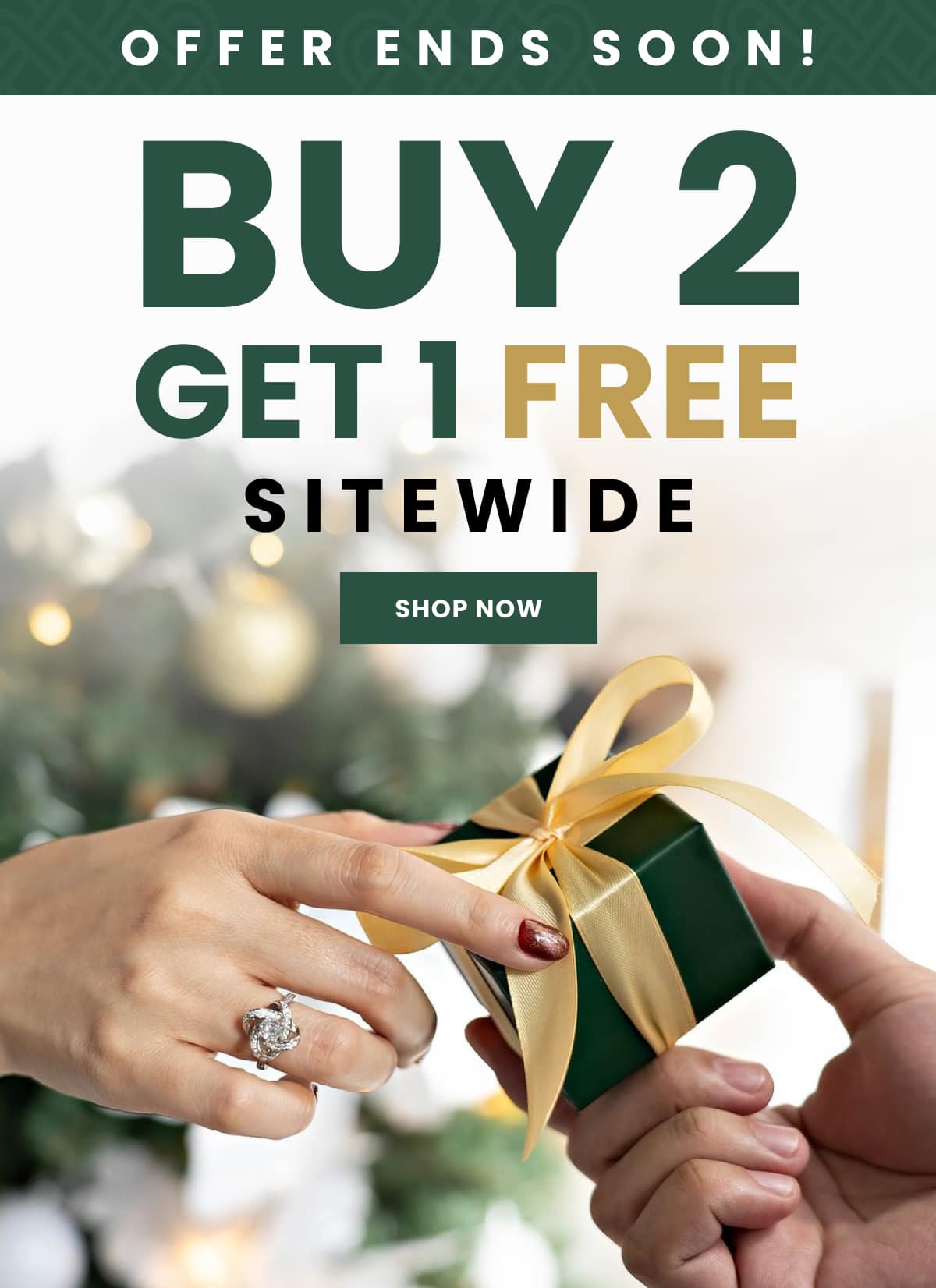 OFFER ENDS SOON! BUY 2 GET 1 FREE SITEWIDE