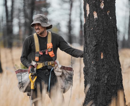 Support the Forest Fire Fund