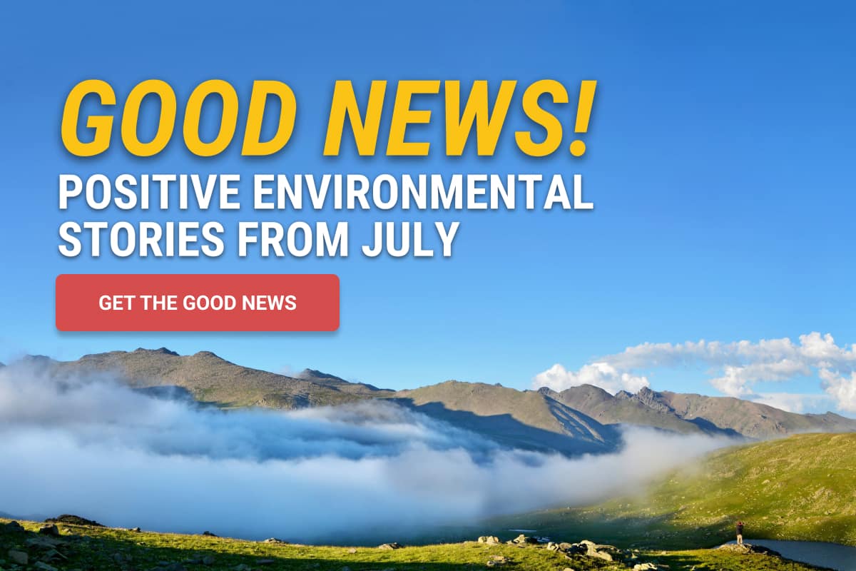 Good News! Positive Environmental Stories from July