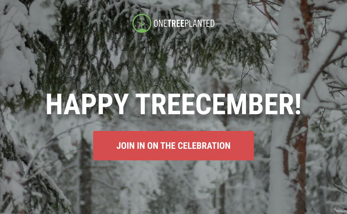 Happy Treecember!