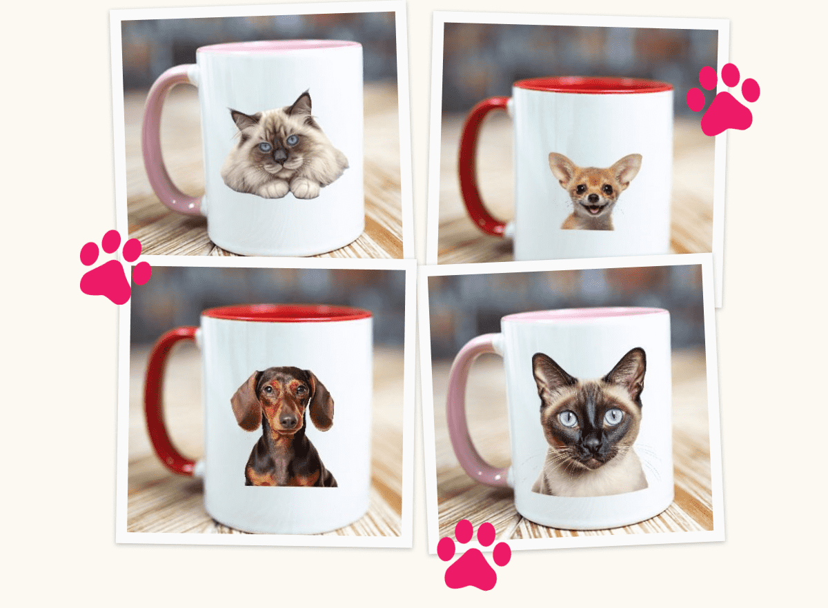 Mugs.com