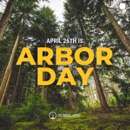 April 26th Is Arbor Day