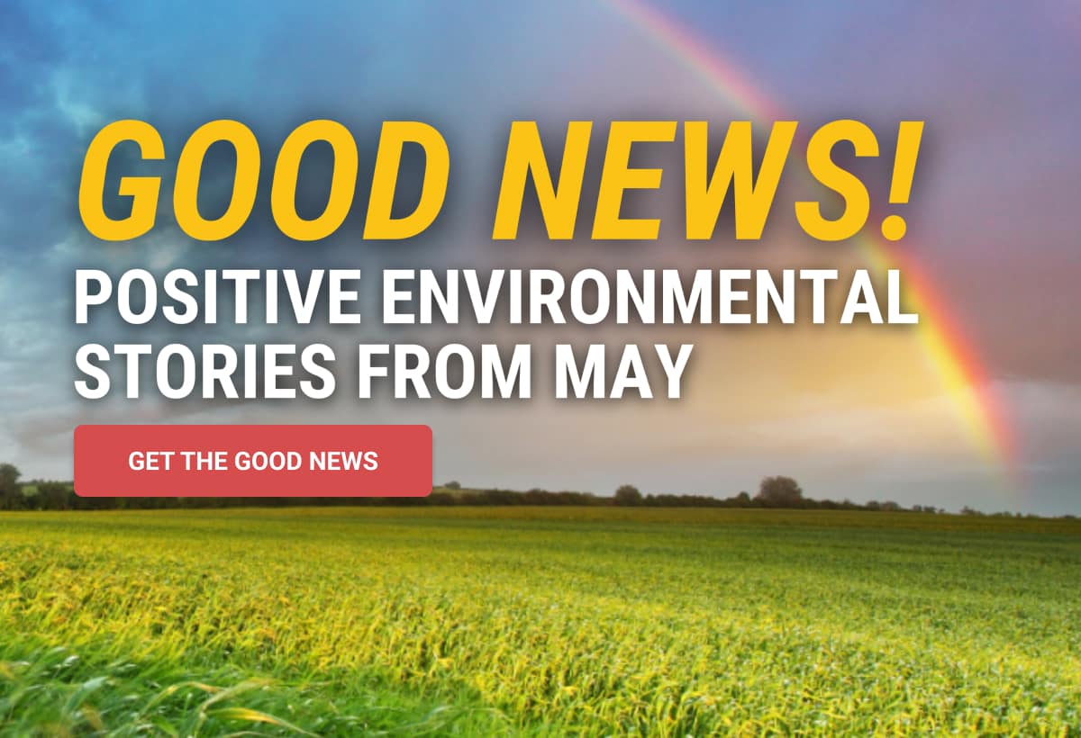 Good News! Positive Environmental Stories from May