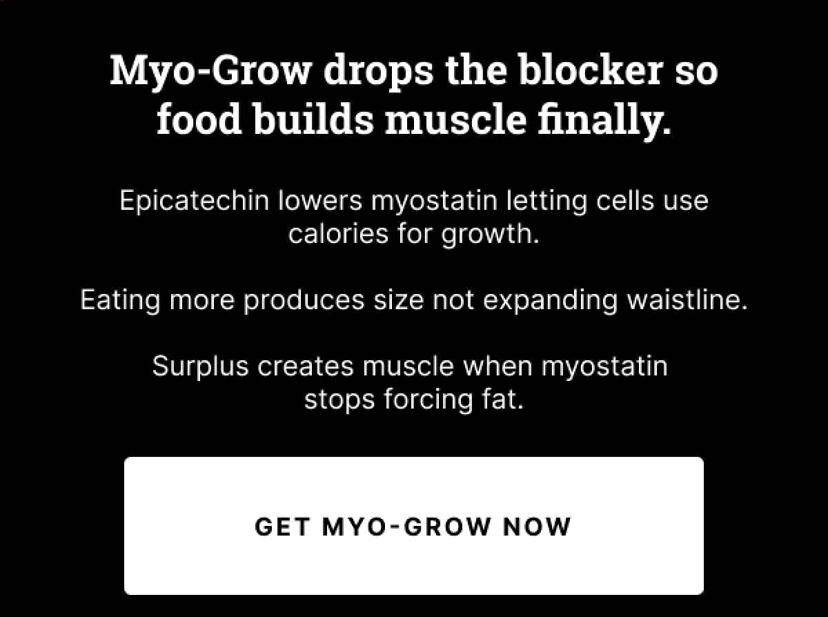 Myo-Grow drops the blocker so food builds muscle finally. Epicatechin lowers myostatin letting cells use calories for growth. Eating more produces size not expanding waistline. Surplus creates muscle when myostatin stops forcing fat.