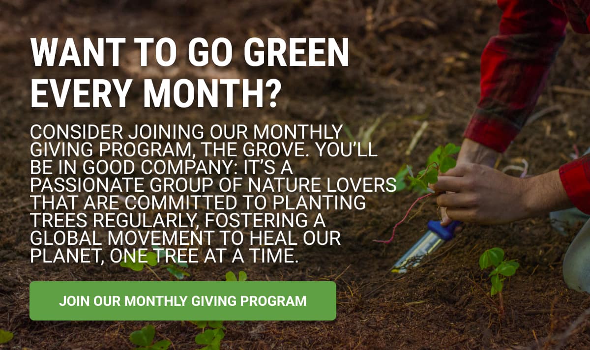 Want To Go Green Every Month? Join Our Monthly Giving Program