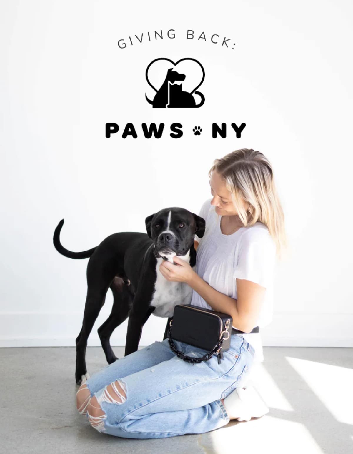 PAWS NY