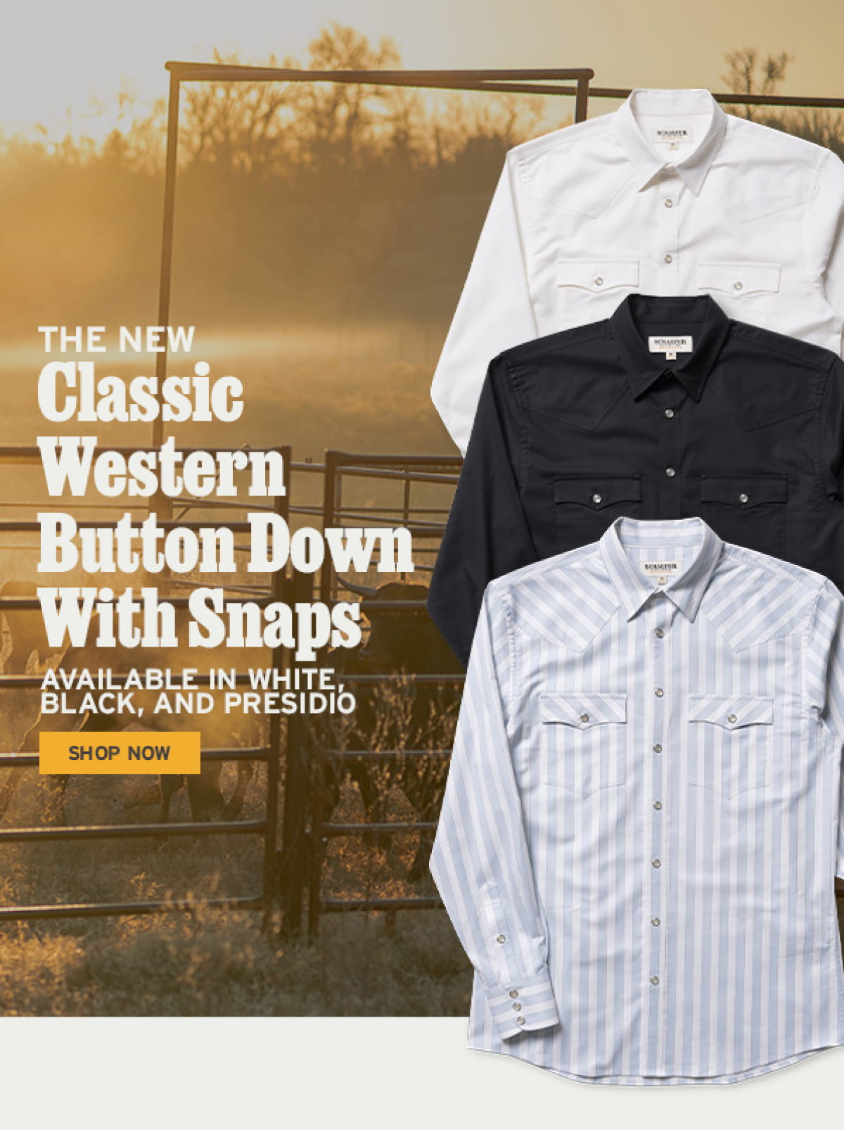 Classic Western Button Down with Snaps