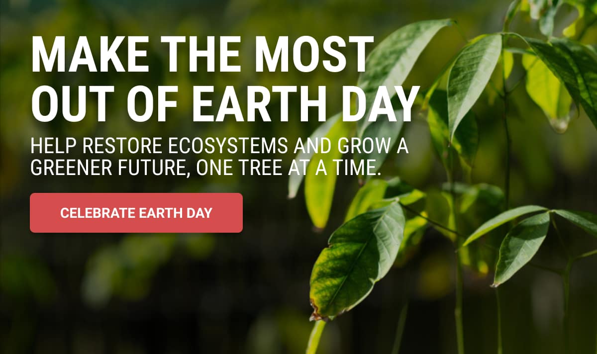 Make the Most Out of Earth Day: Plant Trees