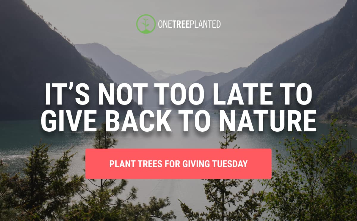 It's not too late to give back to nature.