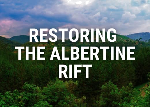 Restoring the Albertine Rift