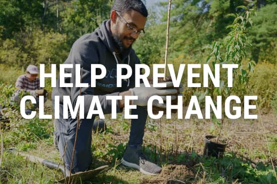 27 Ways That You Can Help Prevent Climate Change