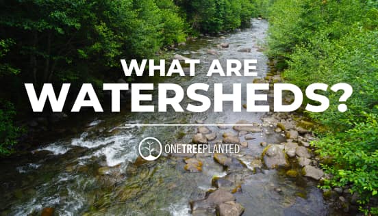 What Are Watersheds?