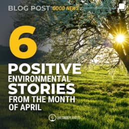 6 Positive Environmental Stories From the Month of April