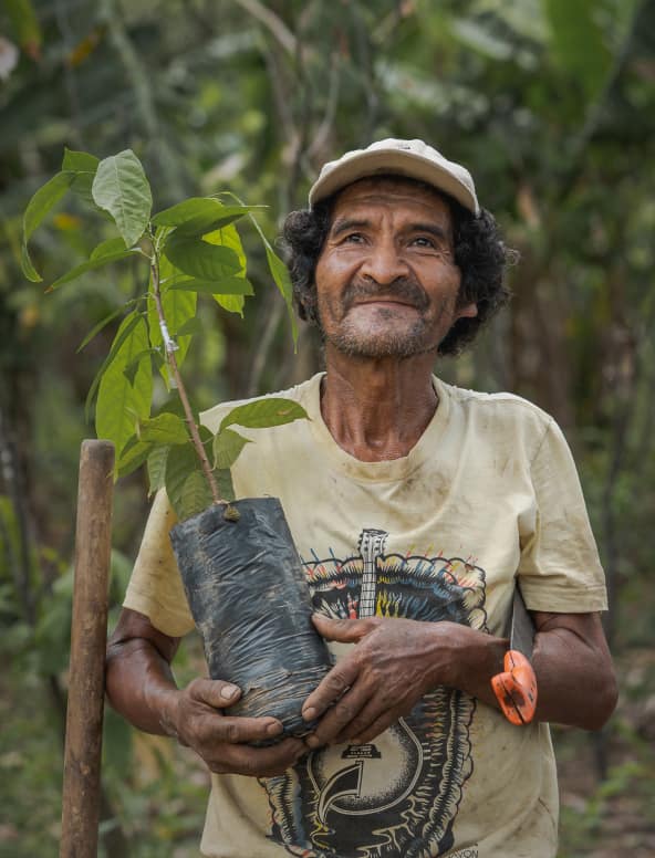 An older man plants a sapling in the Amazon.