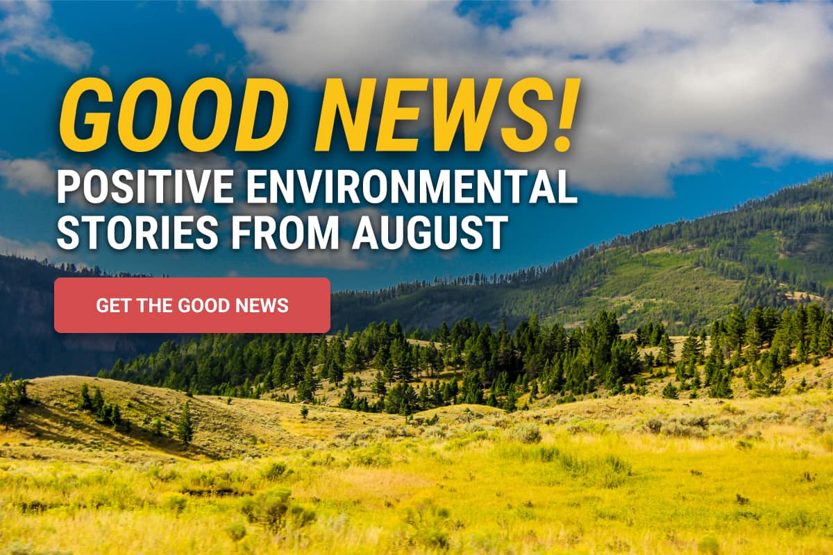 Good News! Positive Environmental Stories from August