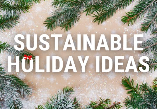 Sustainable Holiday Ideas 