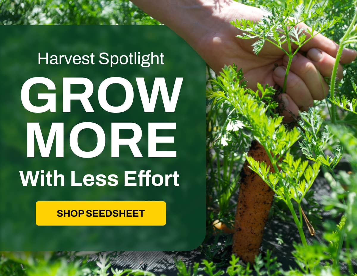 Harvest Spotlight: Grow More with Less Effort!