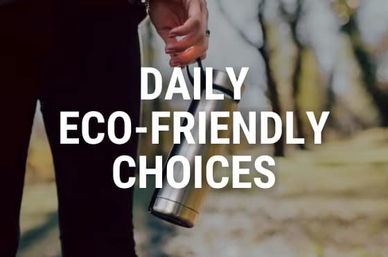 Daily Eco-Friendly Choices to Support Environmental Sustainability